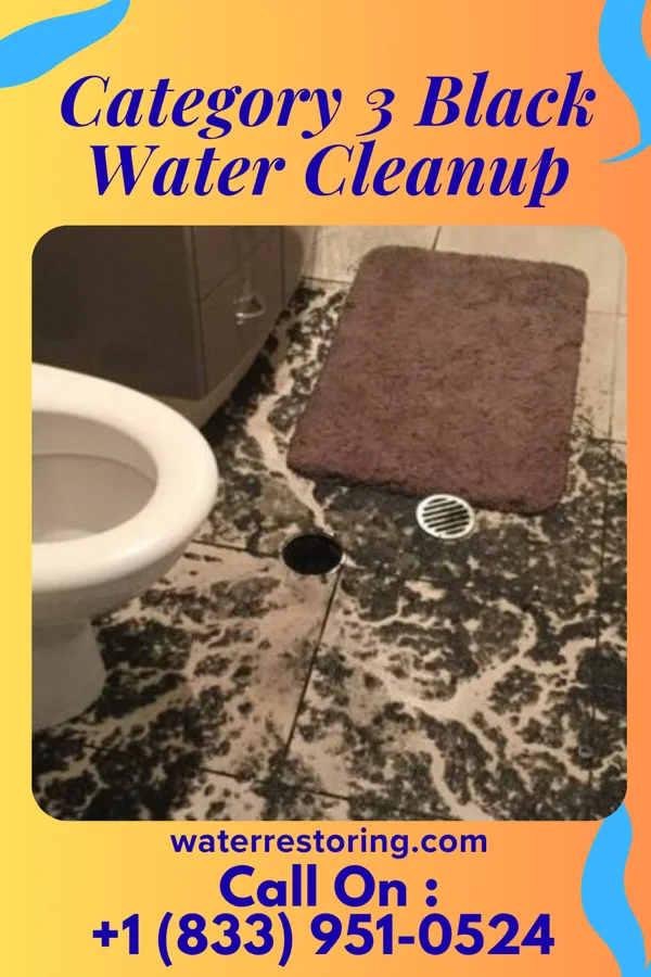 Category 3 Black Water Cleanup in Alma, KS